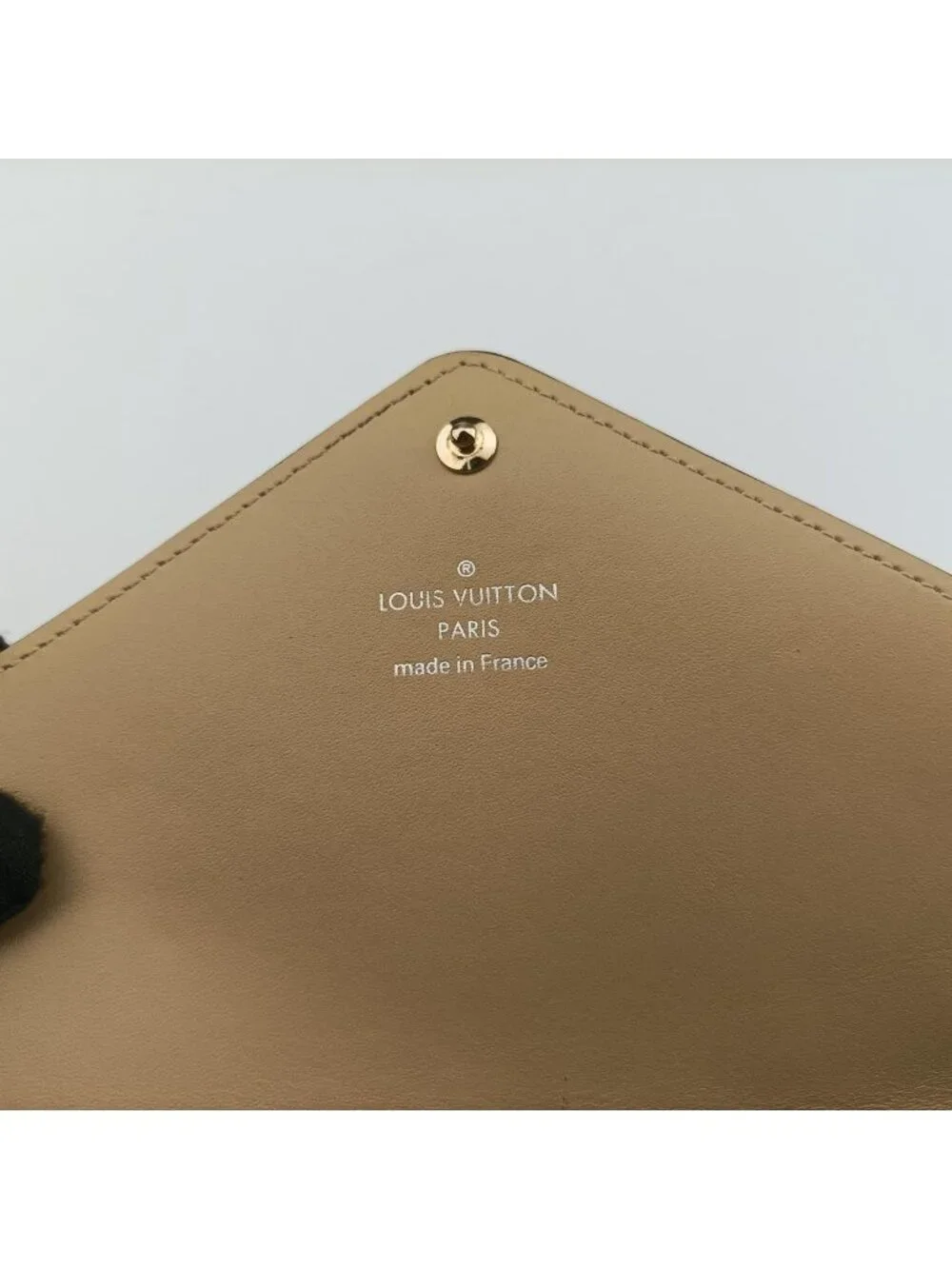Louis Vuitton brand louis